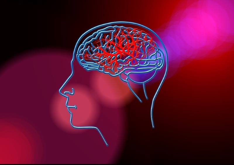Što možemo učiniti kako bi spriječili moždani udar ?