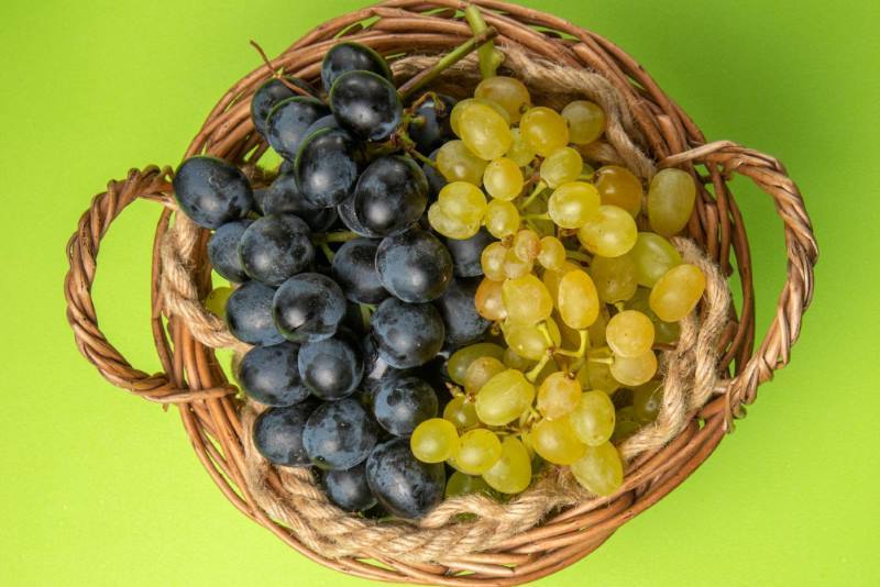 Crno ili bijelo grožđe: Znate li koje je bolje za vas?